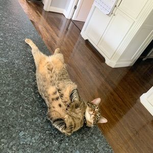 Meet your Posher, Caroline